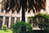 Vista interna do Convento Las Clarissas