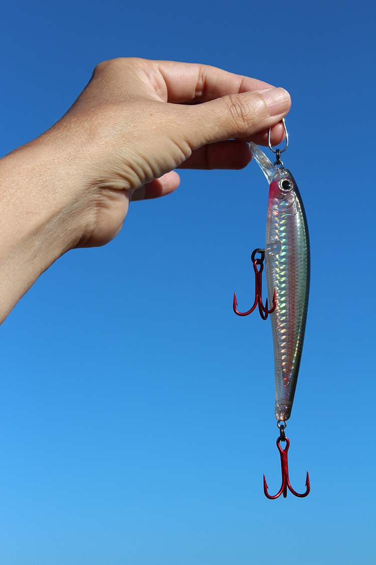 (peixe, sombra) dentrofora (do céu da boca) d’água ( , )
