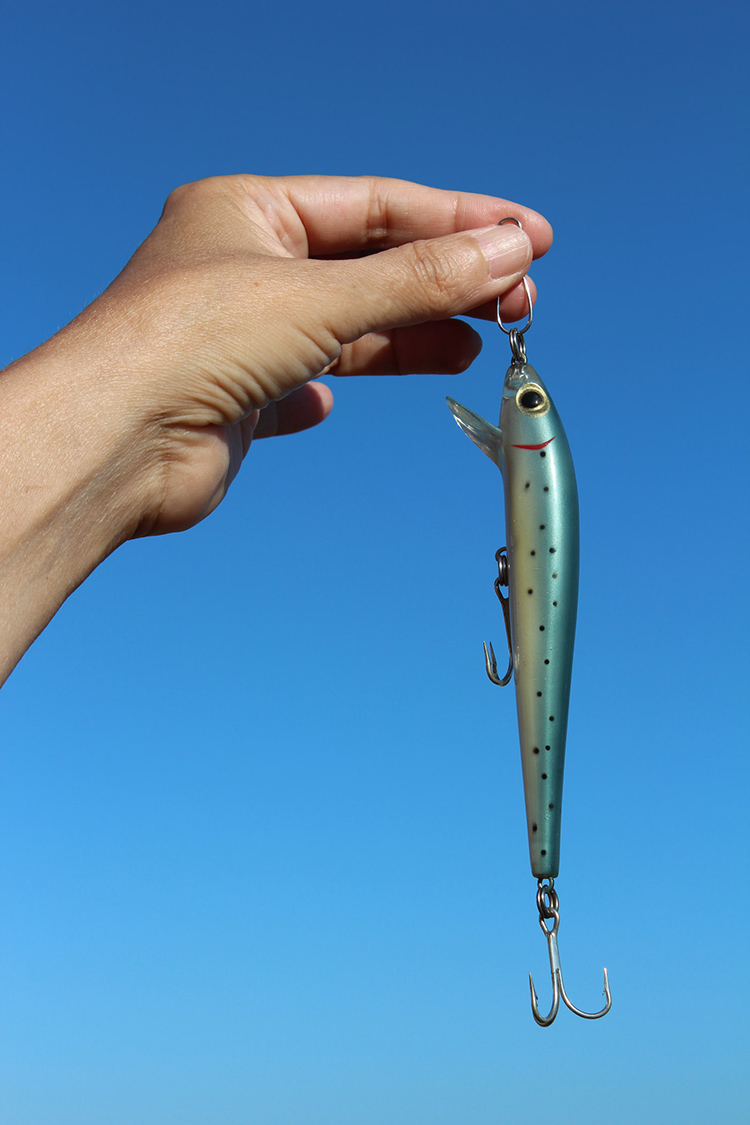 (peixe, sombra) dentrofora (do céu da boca) d’água ( , )
