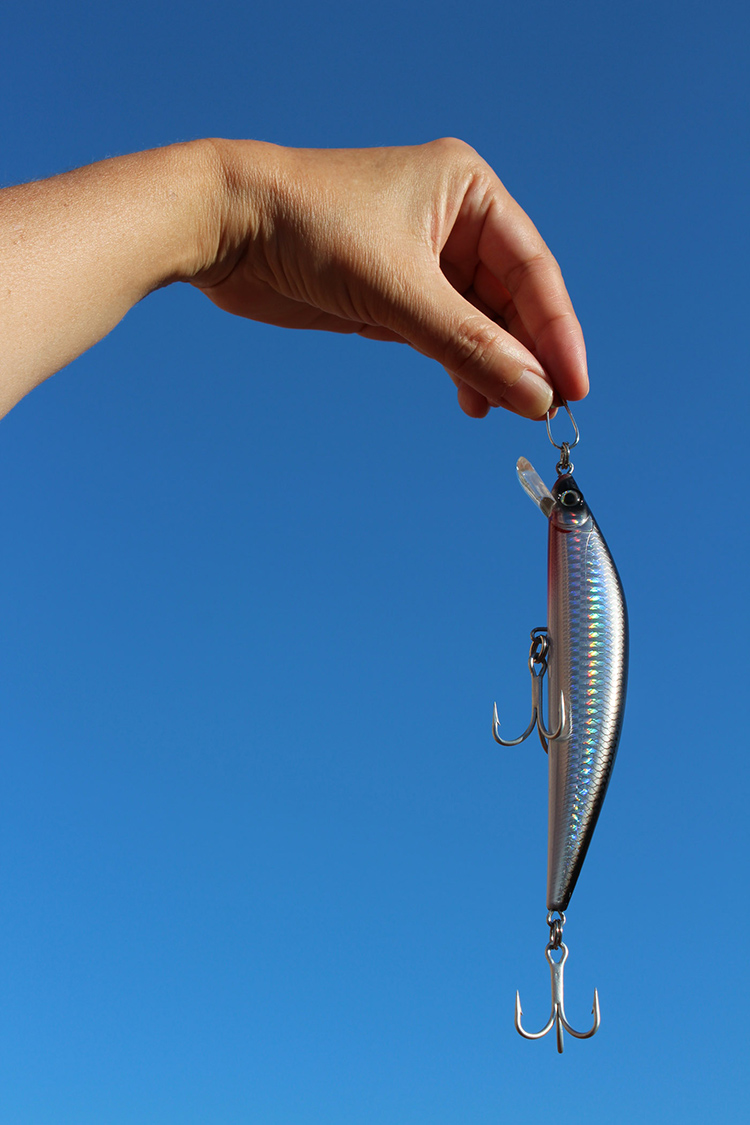 (peixe, sombra) dentrofora (do céu da boca) d’água ( , )
