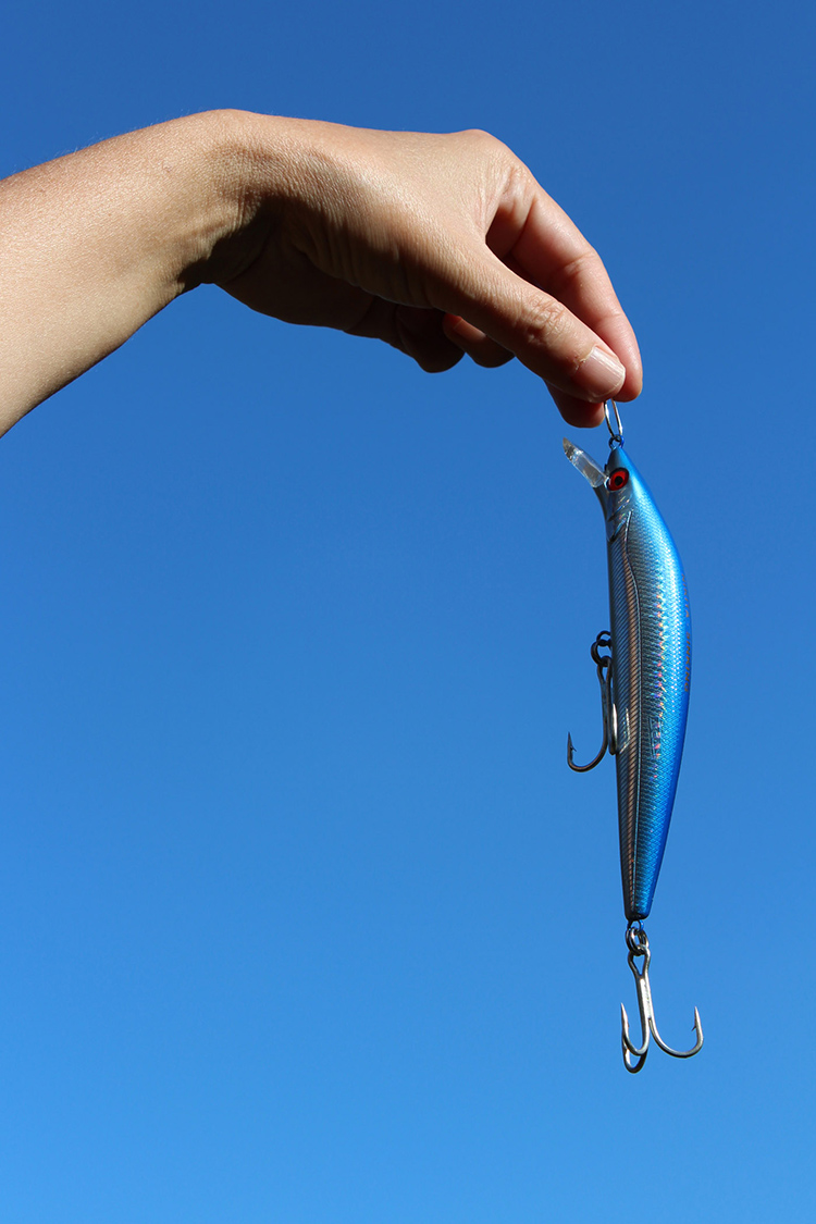 (peixe, sombra) dentrofora (do céu da boca) d’água ( , )
