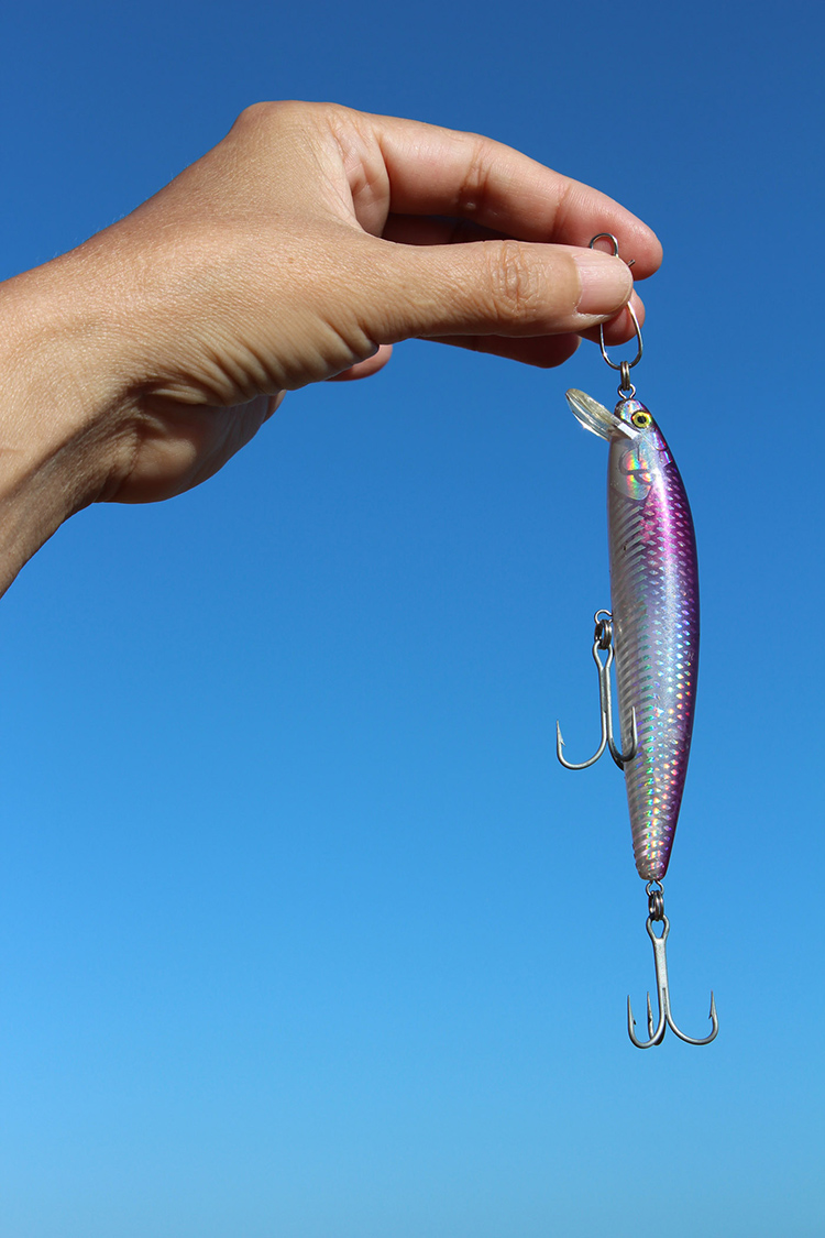 (peixe, sombra) dentrofora (do céu da boca) d’água ( , )
